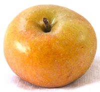 Ashmead's Kernel apple (Bar Lois Weeks photo)