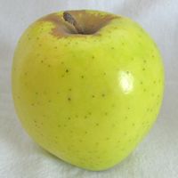 Mutsu, or Crispin, apple (Bar Lois Weeks photo)