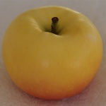 Pristine apple (Bar Lois Weeks photo)