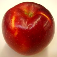 CrimsonCrisp apple (Bar Lois Weeks photo)