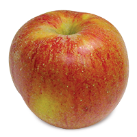 Ribston Pippin apple (Bar Lois Weeks photo)