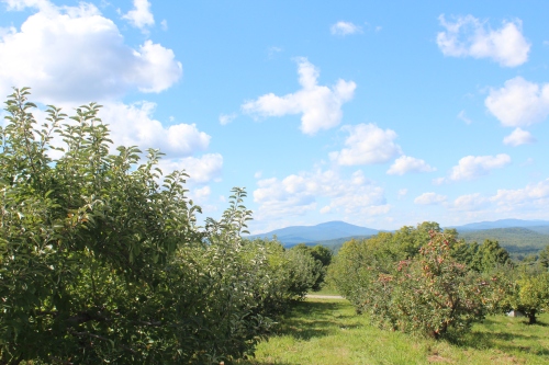 The western view toward Mount Kearsarge from Gould Hill Orchards, Contoocook, New Hampshire (Bar Lois Weeks photo)