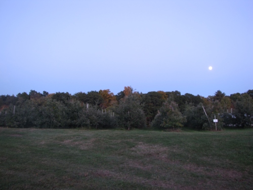 Moon rising over Buell's Orchard, Eastford, Connecticut (Russell Steven Powell photo)
