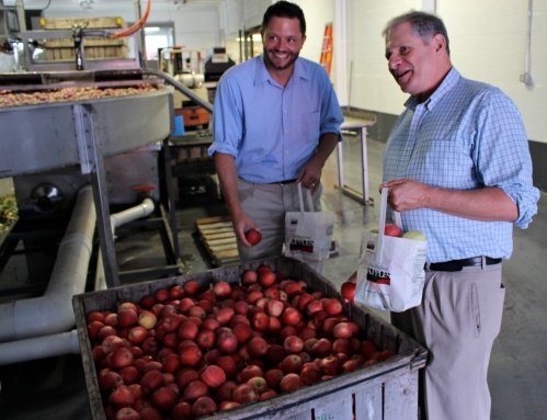 Massachusetts Commissioner of Agriculture John Lebeaux, right, and Assistant Commissioner Jason Wentworth grab some apples while touring the new packing line at J. P. Sullivan Co., in Ayer. Commissioner Lebeaux earlier presented Fairview Orchards Manager Sean O'Neill with a proclamation from Gov. Charles Baker naming September New England Apple Month. (Russell Steven Powell photo)